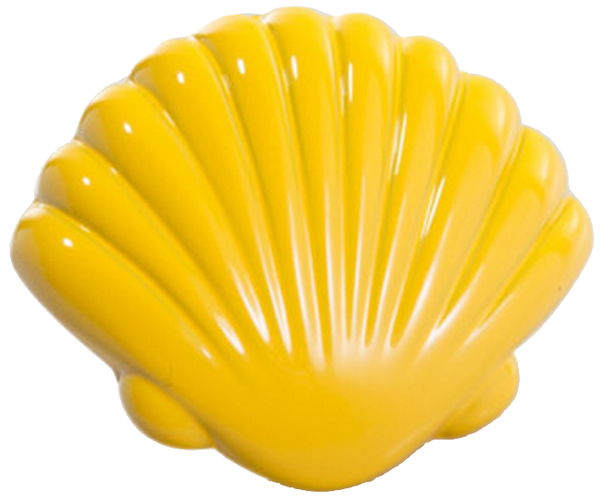 Vibrante Venera Amarillo 40mm Yellow Shell Knob