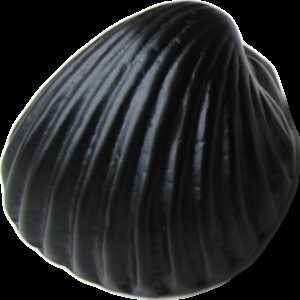 5304 Coquille Antique Shell Matte Black 49mm Cup Pull Knob